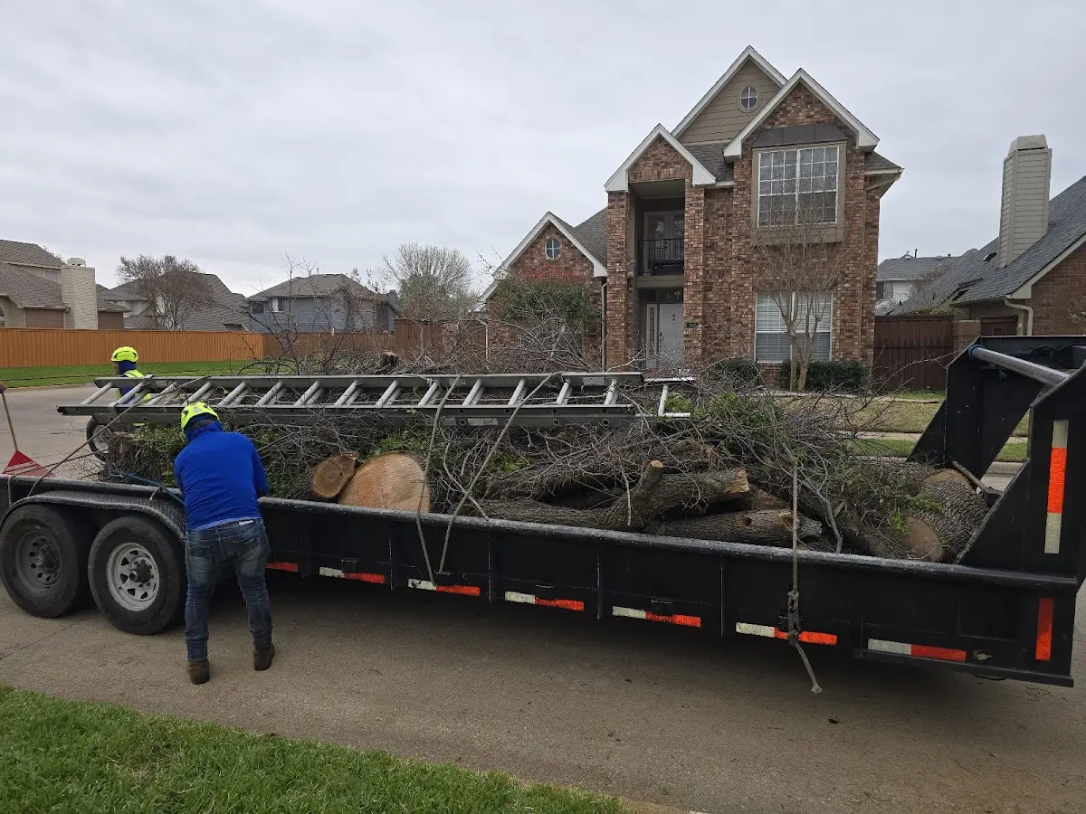 Expert Lot Clearing with proper safety equipment in Sun River
